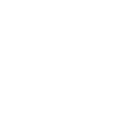 Github Button